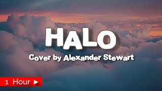 HALO |  COVER BY ALEXANDER STEWART