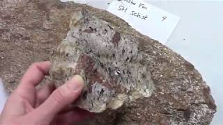 A1 B2 Schist hand sample