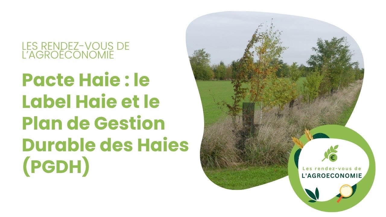 Le Label Haie et Le Plan de Gestion Durable des Haies (PGDH) - YouTube