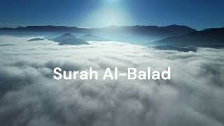 Surah Al-Balad. Sheik Hani Ar-Rifai