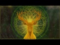 Celtic visions  shamanic nature  musical essence