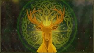 Celtic Visions - Shamanic Nature Musical Essence