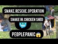 snake seen for the first time at harran ganderbal