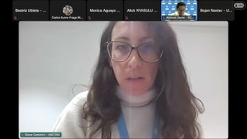 International Webinar on Measuring Illicit Financial Flows (IFFs) (19Nov 2025)