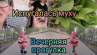 :        VLOG  