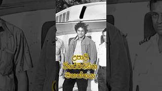 ජීවත්ව හිටියනම් ලංකාව ගොඩ ගනී 😪 #viralshort #slnews #ceylone