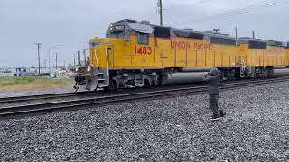 Railfanning on a rainy day at Railfest 2024 in Stockton,CA