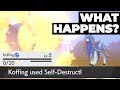 What Happens If You SELF-DESTRUCT In The Beginning Legendary Battle Of Pokémon Sword & Shield?