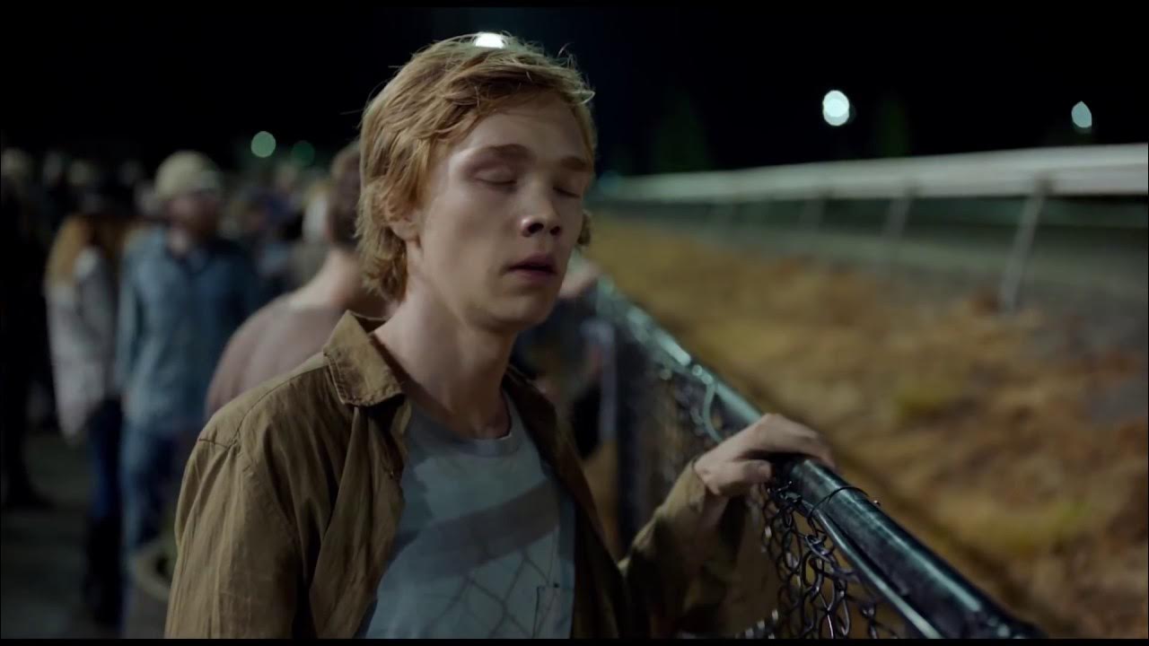 питта игра. бредаит. положитесь на пита (lean on pete) 2017. накаченные собаки породы. ,hrtl gbnnf.