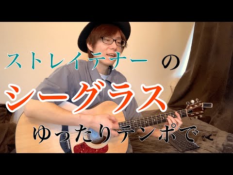 ストレイテナーのシーグラスをカバーしました【テンポゆっくり】