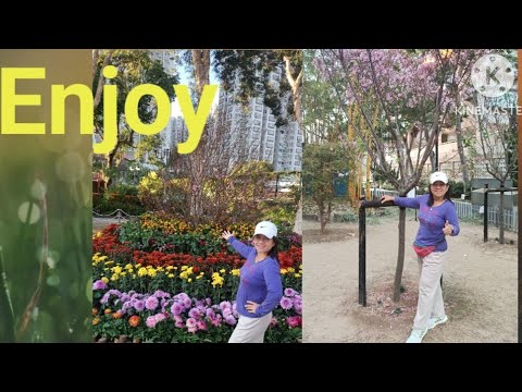 Cherry blossoms at Shatin Hong Kong 
