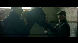 Royalty Free | After Effects Template Action Teaser