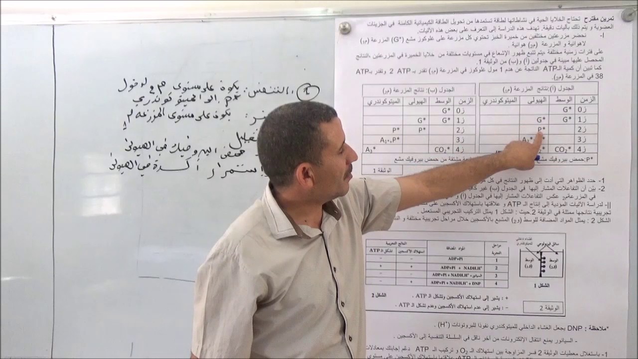 أستاذ الزبدة عيسى : بكالوريا تمارين و حوليات البكالوريا في العلوم