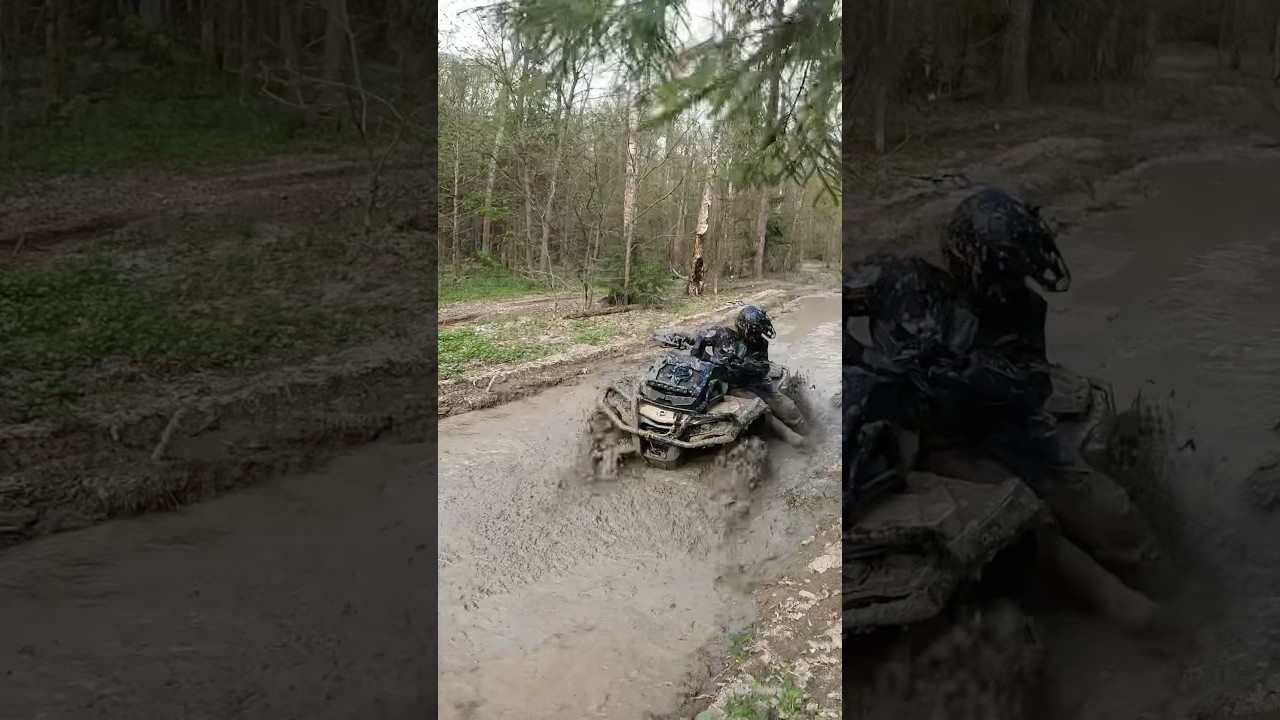 🚀Brp 1000 xmr 🤩 