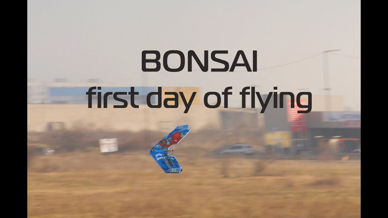 Bonsai mini flying wing first day of flights! YouTube