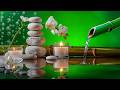 Proven Stress Relief Sound - Calm Your Mind Instantly, Relax Like Never Before, Bamboo Water