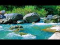 Calming River Stream Live 24/7 – Gentle Water Flow &amp; Green Noise for Sleep &amp; Relaxation