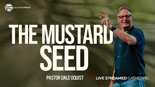 LIVE | The Mustard Seed | Small Things Make a Big Difference