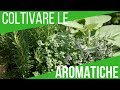 COLTIVARE LE AROMATICHE SUL BALCONE | CORSO A FIRENZE BIO | ORTO E GIARDINAGGIO