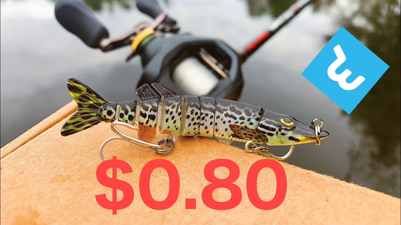 80 Cent Swimbait For Bass — Can It Catch Fish? (Wish App)
