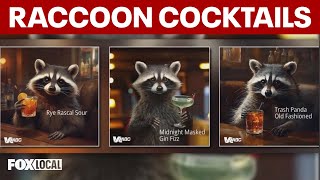 'Trash Panda Old Fashioned': Virginia ABC introduces new cocktails inspired by viral drunk raccoon