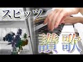 讃歌:スピッツ【ピアノ・ソロ】フルバージョン(アルバム「ひみつスタジオ」新曲)