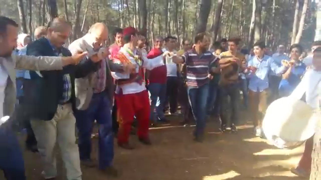 SIVAS KOYULHISAR CANDIR KOYU AĞASI