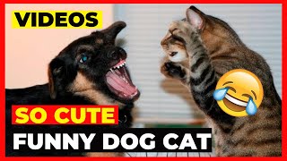 Angry Cats😾 VS Dogs🐶 Funny Compilation 2021 #15022 by Jhon Pets Tv 14 views 2 years ago 4 minutes, 57 seconds