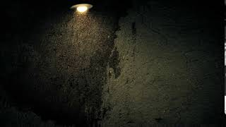 Video Background - Fire Flies Loop - 1080p