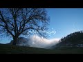 نور على نور يهدي الله لنوره من يشاء ويضرب الله الأمثال لي للناس والله بكل شيئ عليم
