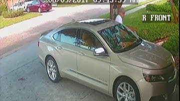 Caught on Camera: Python Found Under Hood of Car