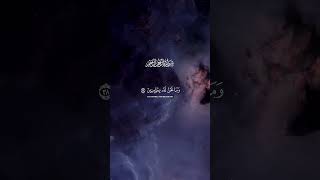 Heart Touching Quran Recitation ❤️ | Yasir Al-Dosari Beautiful Tilawat | Relaxing Voice #1mk