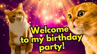 When A Cat Is Invited To A Neighbors Party Featuring Ha Hee Cat Ep.53