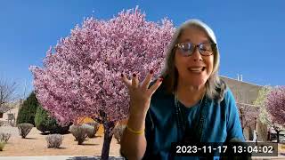 Susan Brochin, teacher of the Goddess Group, interviews GinaMaria Opalescent from Opalescent.World