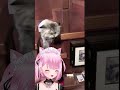 #meme #short #猫パンチ #みけねこ #mikeneko #vtuber