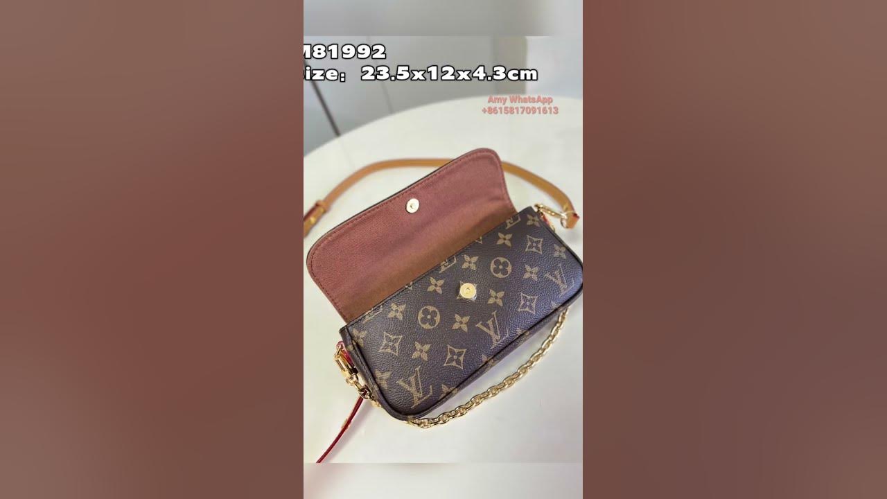 THE MOST ANNOYING PART OF IT  LV IVY WALLET ON CHAIN REVIEW 