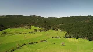 ONCE IN A LIFETIME MATARANGI LAND OPPORTUNITY | 650 SH 25, Otapaurau, Matarangi
