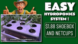 EASY DIY Hydroponics System !  ⚠