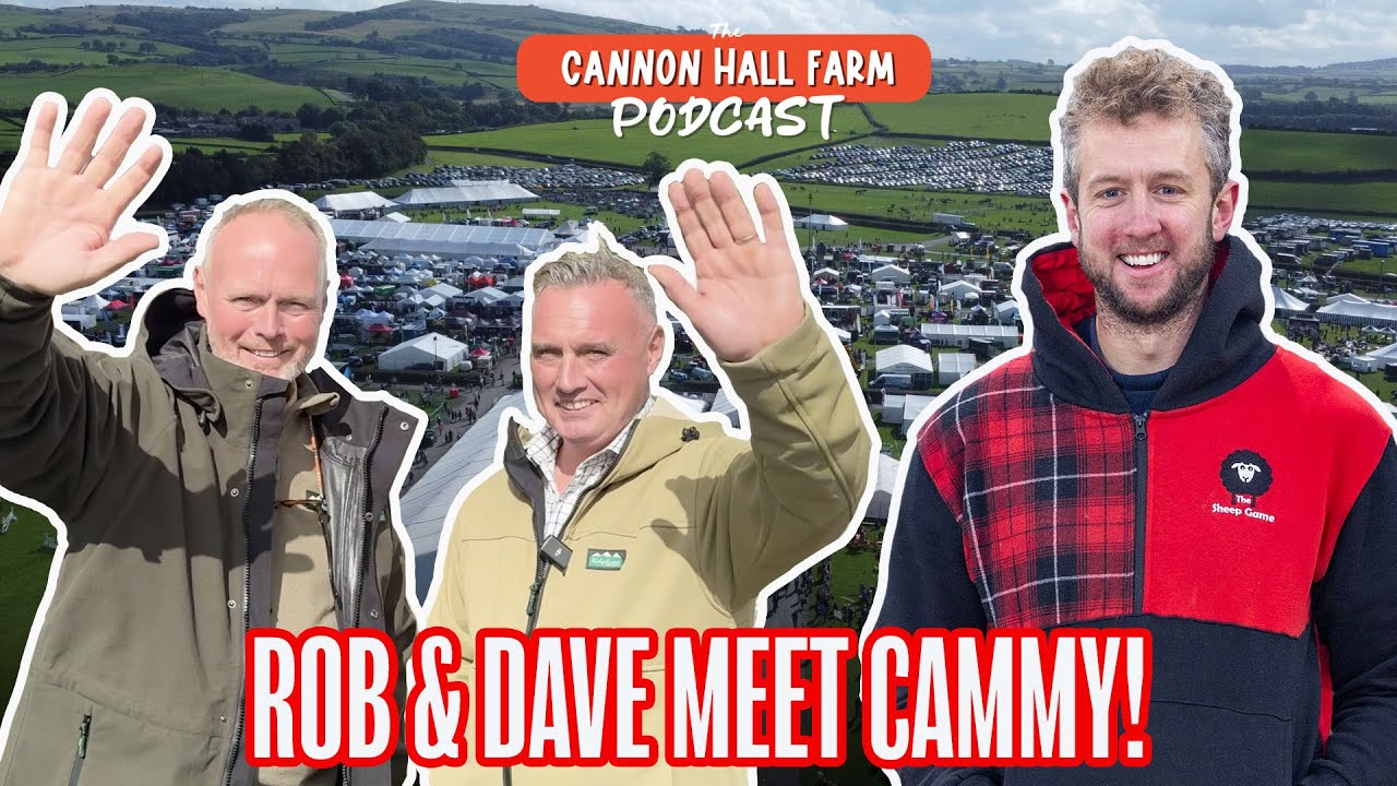 Встречаем Кэмми из «The Sheep Game»! 🐑