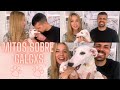 Desmintiendo 10 MITOS sobre GALGOS | Son BUENOS para la CONVIVENCIA? | La Galga Brisa