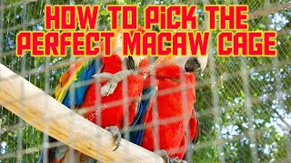 Perfect Macaw Parrot Cage ll Macaw Parrot Cage ll Parrots Breeding Information