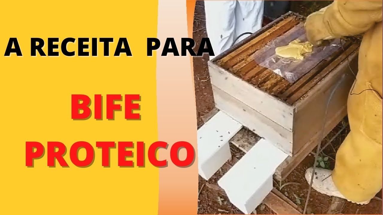 BIFE PROTEICO - Receita da alimentação sólida