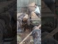 “Before vs After Wood Cutting 🔥 | Must Watch” #shorts  #cuttingmachine #india @plywood_wala01