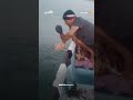 صياد في عدن يعيد سلحفاة إلى البحر بعد اصطيادها بالخطأ