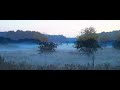 Fog
