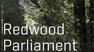 Redwood Parliament @ DWeb Camp 2022
