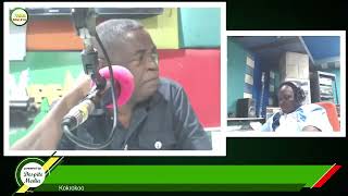 GRA/SML/KPMG Report: Everyone Makes A Mistake - Kwesi Pratt Says As He ‘Fights’ For The Media