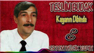 Teslim Budak - Kayanın Dibinde