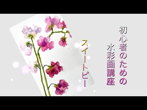 初心者のための水彩画講座90】スイートピー - YouTube
