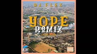 DJ Flex - Aye (YOPE Remix)